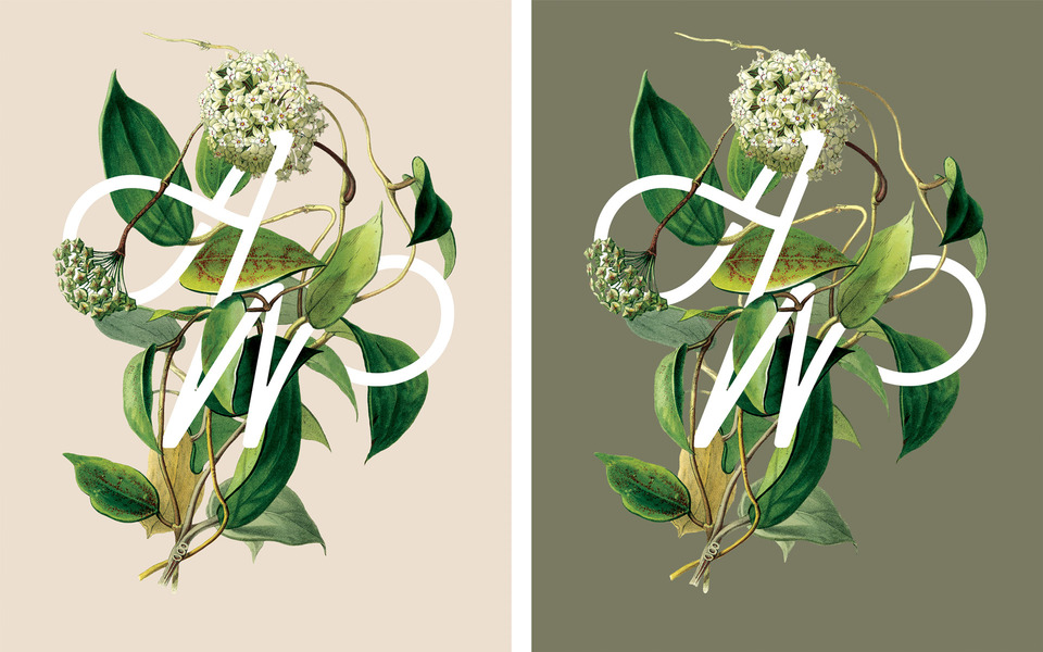 Pacific Northwest greenery iwth AW monogram against tan and green backgrounds by Saturday Studio