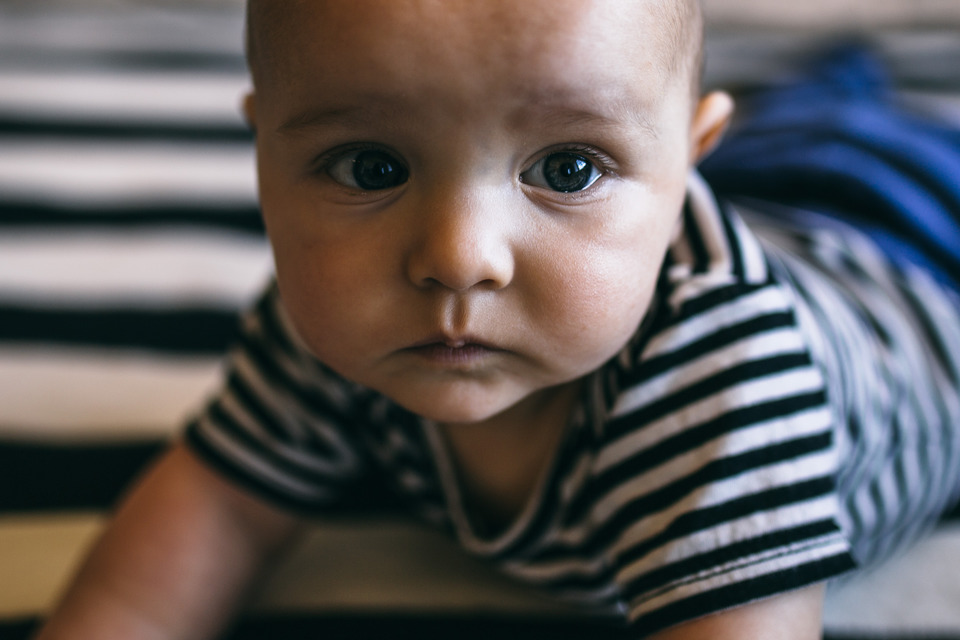 The Hampton Family / Amy Winningham Photography